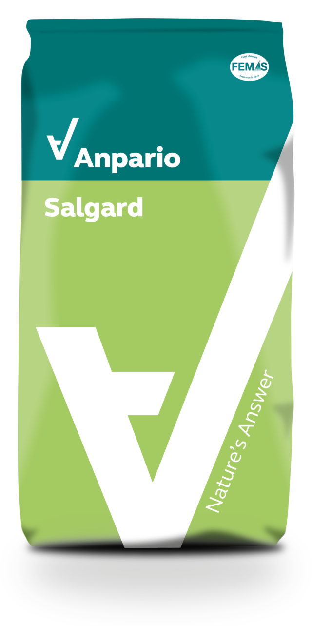 Salgard Powder