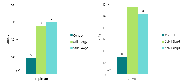 Caecal concentrations of propionate and butyrate of challenged broilers at 35 days of age.